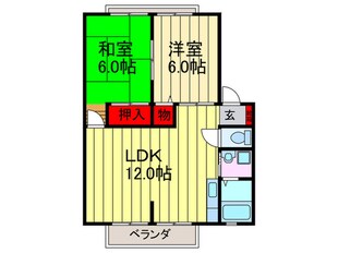 ハイツカトレアＤ棟の物件間取画像